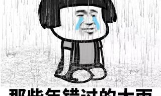 那些年错过的大雨是什么歌