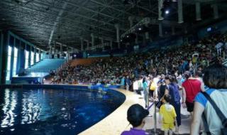 上海海洋水族馆好玩吗